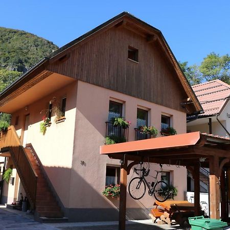 Apartma Na Vasi Lägenhet Zaga Exteriör bild