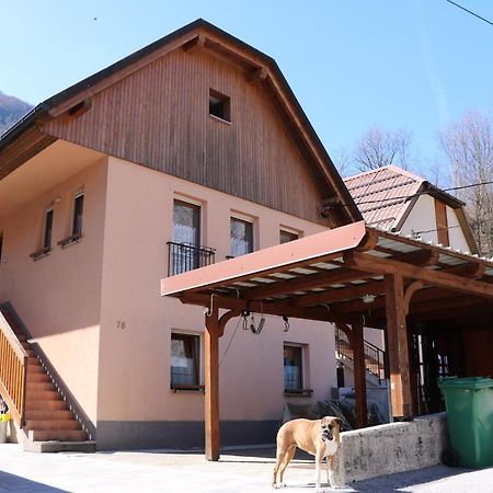 Apartma Na Vasi Lägenhet Zaga Exteriör bild