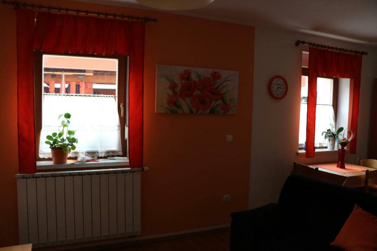 Apartma Na Vasi Lägenhet Zaga Exteriör bild