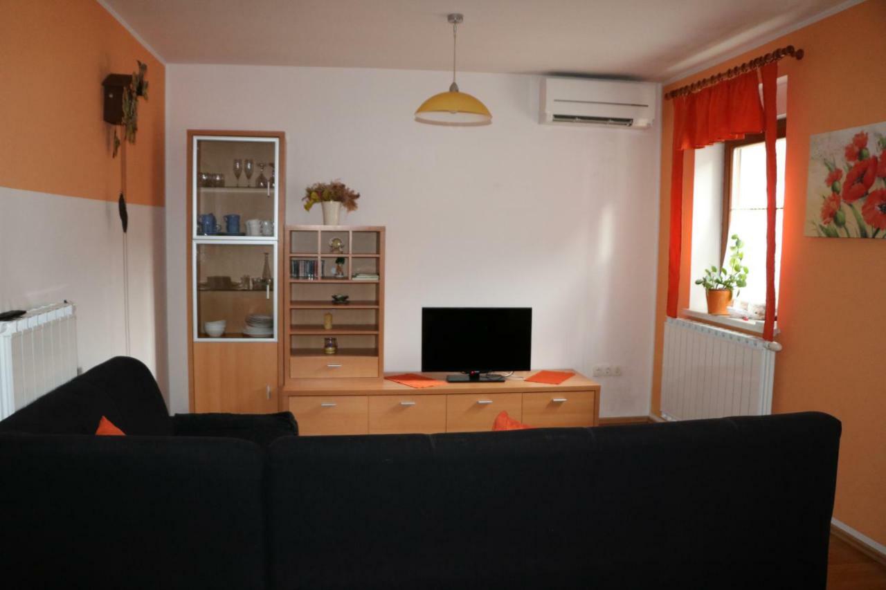 Apartma Na Vasi Lägenhet Zaga Exteriör bild
